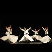 Shereen Mohamed's photo