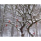 Barbie Abell's photo