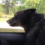 Alex Carnahan's photo