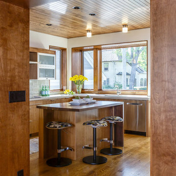 Minnehaha Modern - Minneapolis, MN