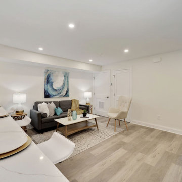 Columbia Heights Rowhouse Transformation
