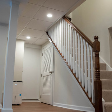 Basement Renovation