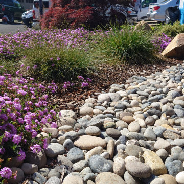 DESIGN TO COMPLIMENT MAPLE TREES