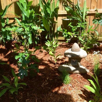 Urban Tropical Meditation Garden + Food Forest - Tampa, FL
