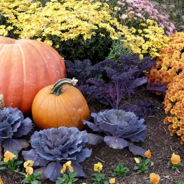 Garden Services & Lawn Maintenance