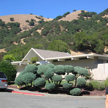 houses