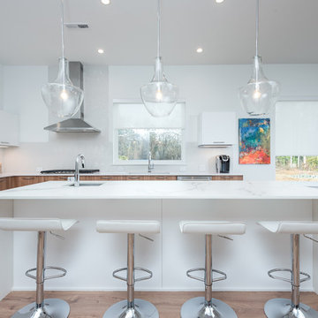 Modern White Kitchen in Charlotte's First Solar Community