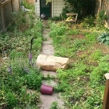 Mulch Installation