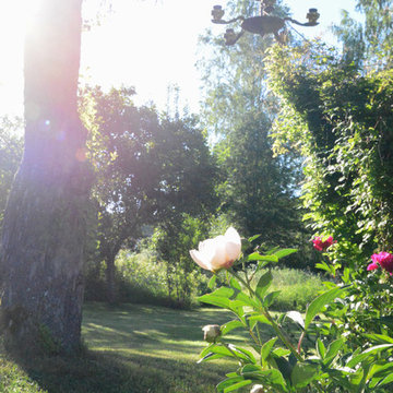 Romantiska trädgården