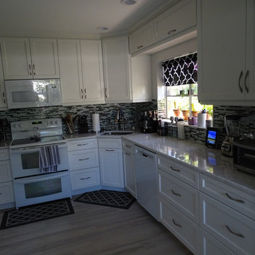 Full Kitchen Renovation - Northside, Saint Petersburg