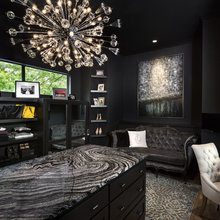 Black Fox & Black Paint