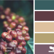 Colors