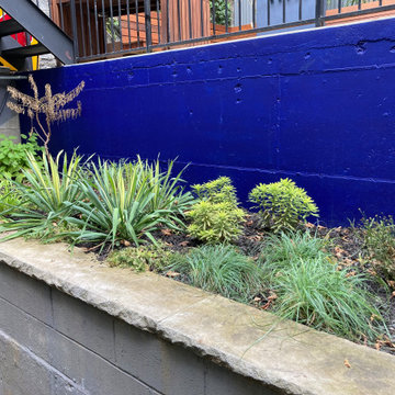 Brooklyn upsplit garden