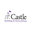 Castle Building & Remodeling