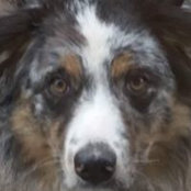 Sandy Graham's photo