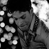 Mosaic Indigo's photo