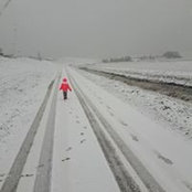Bastiaan Gee's photo