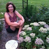 Ann Barths foto