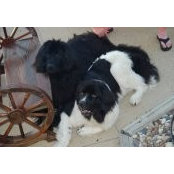 Mary Burgfechtel's photo