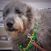 Sue Hirschberg's photo