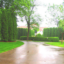 Front Yard 2021