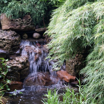 Ponds