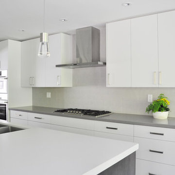 Monochromatic Shades - Kitchen Renovation