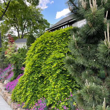 Gardening on a slope.