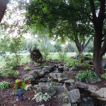 Renovated Stream bed and Pond