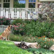 Patio Ideas