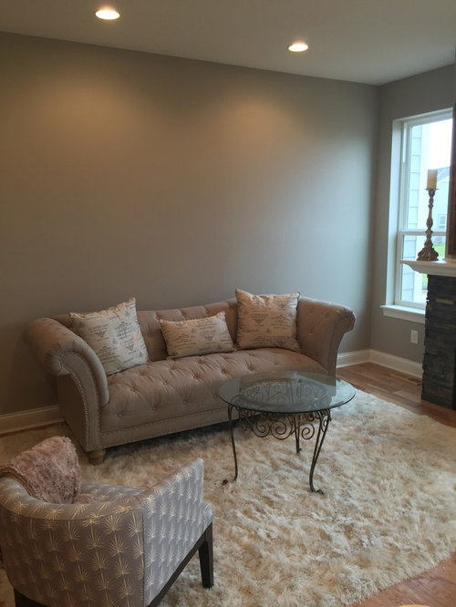 New house need living room decorating ideas!