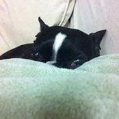 Myles Sidorak's photo