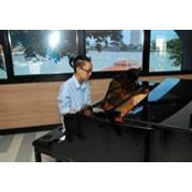 Pawee Taechoyotin's photo