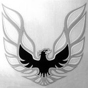 Fatih Lengerli's photo