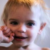 Stephen Schusters foto