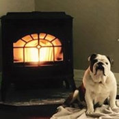 Maggie Torra's photo