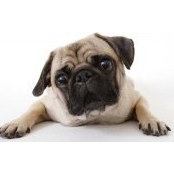 Wendy Hudman's photo