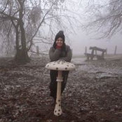 Melinda Madarász's photo