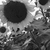 Brinley Shultz's photo