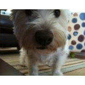 LeeAnne Lober's photo