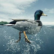 Tuyết Nguyễn's photo