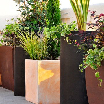 Terraza Balmes