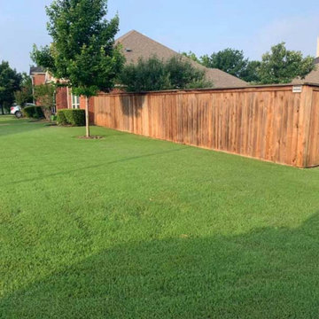 Lawn Maintenance