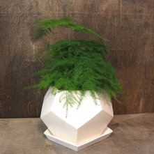 Modern Indoor Pots And Planters by Etsy