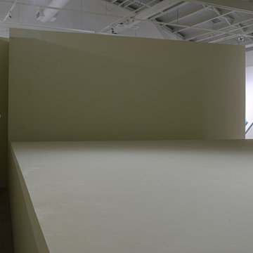 Wattis Institute