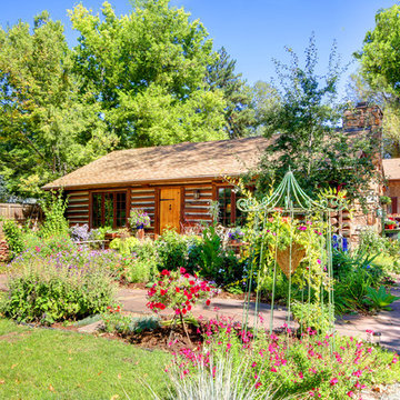 Cabin in the City