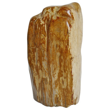 Petrified Wood Fragment