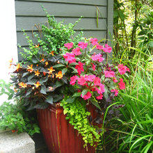 Container Garden