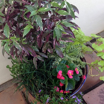 Container Garden