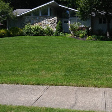 Landscaping